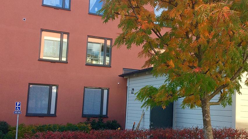 Träd i höstfärger utanför Tvillingbackarna 12.